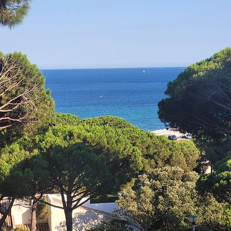 Appartement Vue Mer 200 M Des Plages - Djumbo Σαιντ-Μαξίμ Εξωτερικό φωτογραφία