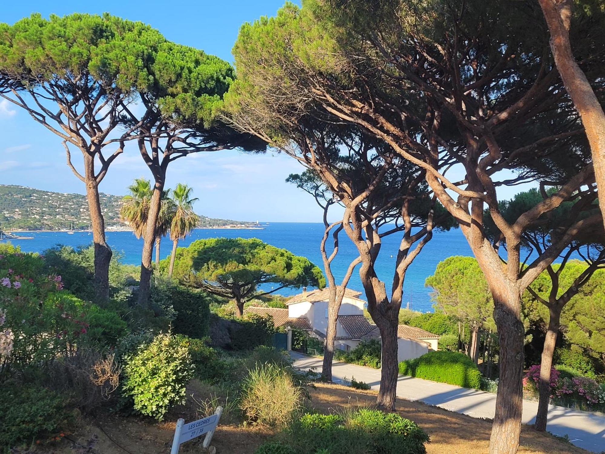 Appartement Vue Mer 200 M Des Plages - Djumbo Σαιντ-Μαξίμ Εξωτερικό φωτογραφία